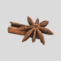 Star Anise