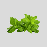 Stevia Leaf