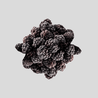 Blackberry