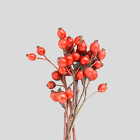 Rosehip Shell