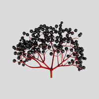 Elderberry