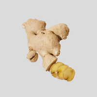 Ginger