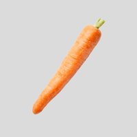 Carrot