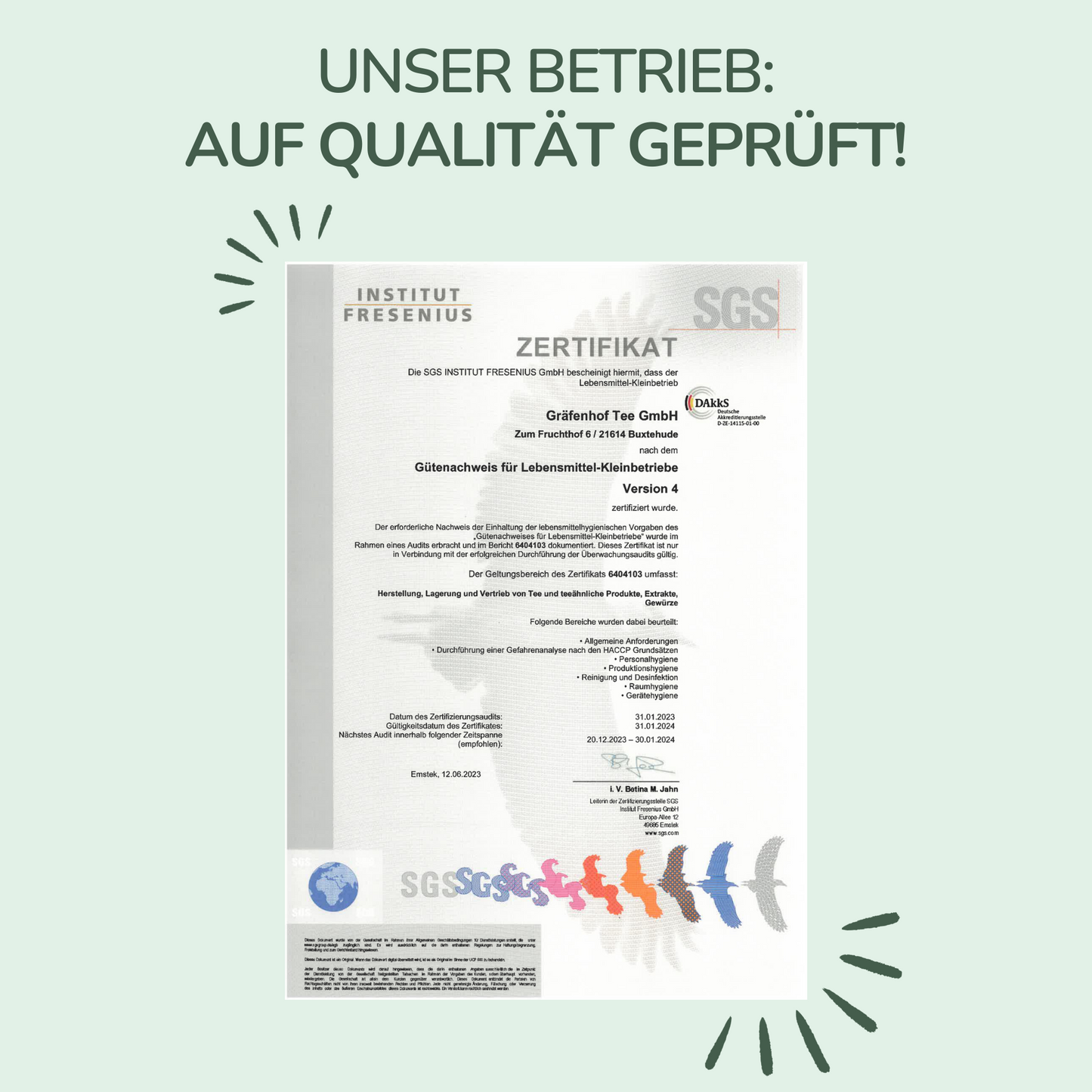 Japan Sencha Tee, Pyramidenbeutel mit Sachet