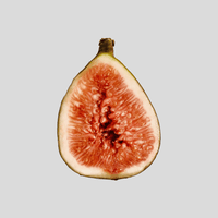 Fig