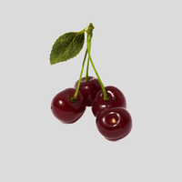 Sour Cherry
